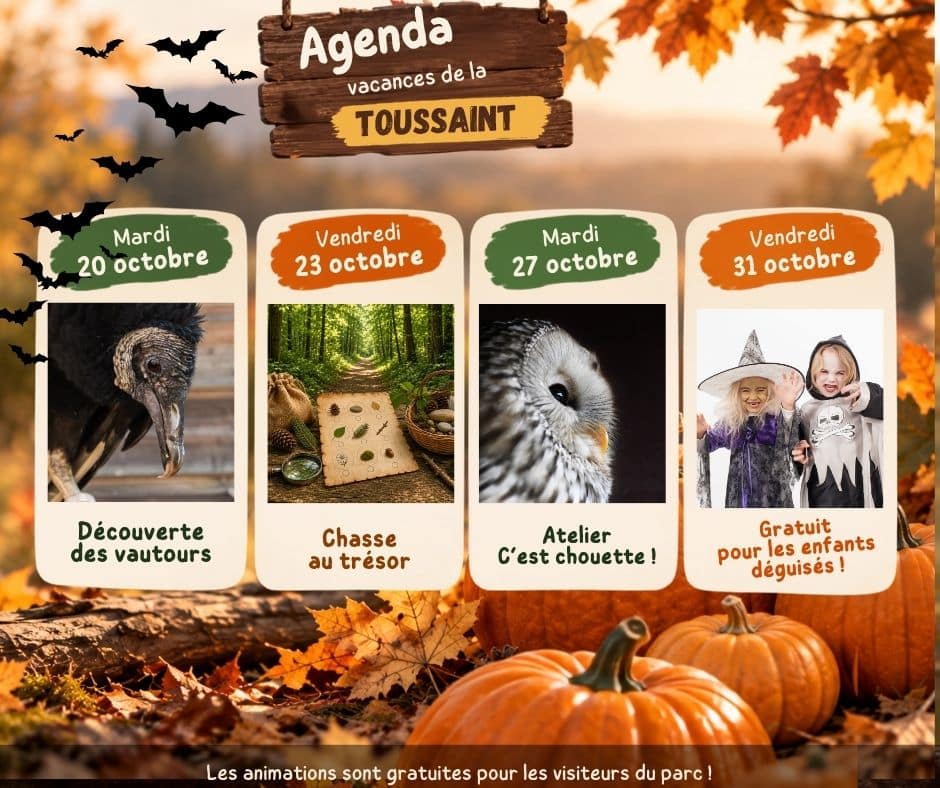 vacances toussaint 2026 programme