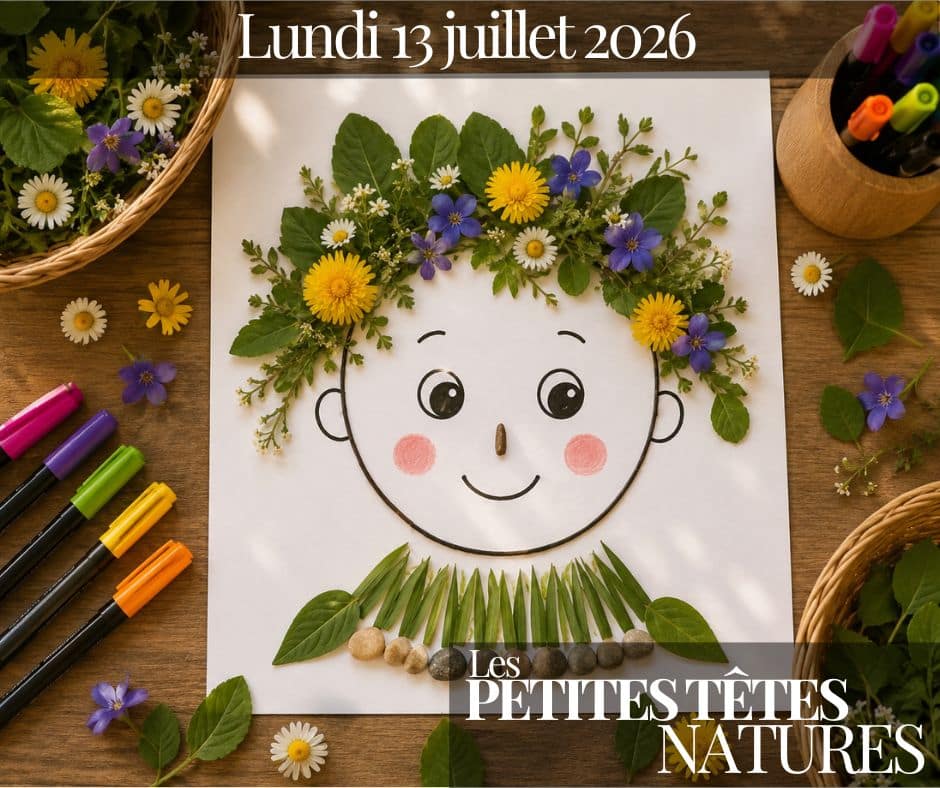 VISUELS ANIMATIONS SAISON 2026(6)