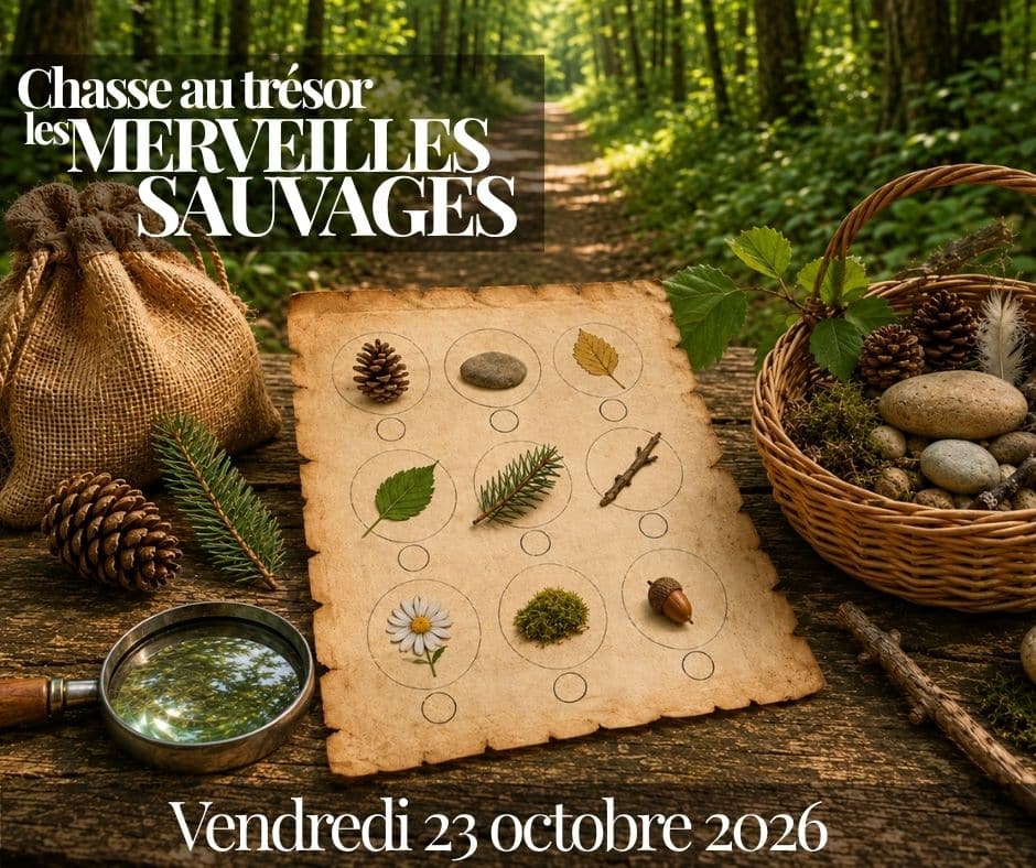 chasse tresor 2026