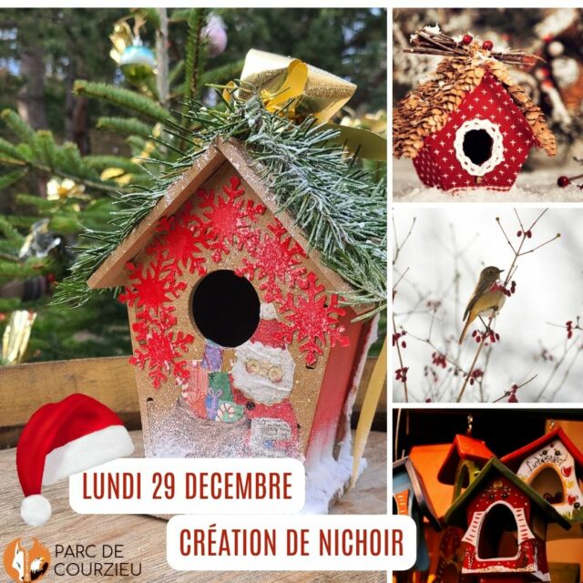 Aujourd'hui lundi 29 décembre : crée ton abri oiseaux !

Après avoir construit le nichoir, il faudra le décorer. Pinceaux, couleurs, colle, paillettes, végétaux, crayons … vont virevolter pour créer le plus beau des nichoirs.
Vous repartirez avec pour l’accrocher où vous voulez. 
À la ville comme à la campagne les petits oiseaux seront ravis de le trouver.

Les fonts récoltés seront reversés à l’Hirondelle, centre de soins pour animaux sauvages.