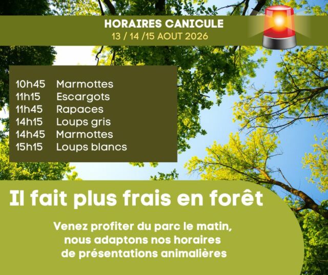 🌳☀️ Envie d'une sortie nature malgré la chaleur ?

Les 13/14/15 aout, les températures s'annoncent de nouveau élevées. Pour vous permettre de profiter pleinement de votre journée, nous adaptons nos horaires d'animations.

Vous pourrez assister à :

🦫 10h45 • Marmottes
🐌 11h15 • Escargots
🦅 11h45 • Rapaces
🐺 14h15 • Loups gris
🦫 14h45 • Marmottes
🤍🐺 15h15 • Loups blancs

Bonne nouvelle : à partir de 12h00, l'entrée est proposée à tarif réduit !

🎟️ Adulte : 14 €
🎟️ Enfant : 10 €

⚠️ Les présentations de rapaces de l'après-midi sont exceptionnellement suspendues.

À 550 mètres d'altitude et au cœur de la forêt, le Parc de Courzieu reste l'un des endroits les plus agréables pour s'évader de la chaleur lyonnaise. 🌲💚

Alors, prêt à prendre un peu de hauteur ?