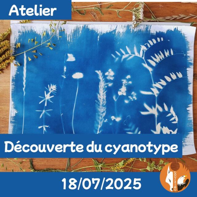 🌿 Atelier Cyanotype – 18 juillet - Parc de Courzieu 🌿

✨ Une activité artistique et poétique au cœur de la nature

Graine & Pollen  vous propose de découvrir le cyanotype, un procédé de photographie végétale ancienne, où feuilles et lumière du soleil se transforment en œuvres uniques 💙

🌞 Ramassez, composez, exposez… et repartez avec votre création végétale personnalisée !

📍 Où ? Au Parc de Courzieu
📅 Quand ? Le vendredi 18 juillet, de 13h à 17h
🎟️ Tarif : 1€ par personne. Atelier réservé aux visiteurs du parc. 
📝 Réservation sur place, à votre arrivée
👨‍👩‍👧‍👦 Atelier accessible à tous, petits et grands à partir de 3 ans

Un moment créatif et naturel à vivre en famille, pour garder un souvenir poétique de votre journée au parc 🌿📸

https://www.facebook.com/graineetpollen
www.graineetpollen.fr

#ParcDeCourzieu #Cyanotype #GrainesEtPollen #AtelierCréatif #NatureEtArt #SortieEnFamille #ActivitéNature
