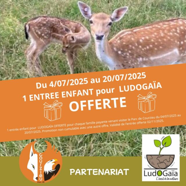 🎁1 ENTREE ENFANT OFFERTE : Le Parc de Courzieu vous invite à Ludogaïa ! 🌳🐺

Vous connaissez @parcludogaia ? 
C'est un magnifique parc, à deux pas de chez vous, qui partage les valeurs de notre parc on y  joue pour mieux connaitre la biodiversité. Vous allez adorer!

Du 4 au 20 juillet 2025, pour 1 entrée enfant achetée au Parc de Courzieu, nous vous offrons 1 entrée enfant au parc @parcludogaia *. 🎁

Une belle occasion de prolonger l’aventure en famille entre nature, animaux et expériences ludiques 🌿✨

📍 Offre valable sur présentation du flyer à l’entrée de Ludogaïa
📆 valable jusqu’au 02/11/2025

❗ 1 entrée offerte par famille – Offre non cumulable - 1 Entrée enfant Ludogaïa offerte par famille à l'entrée du Parc de Courzieu pour 1 enfant payant.

📍 Infos :
👉 www.parc-de-courzieu.fr
👉 www.ludogaia.fr

*Ne manquez pas cette belle opportunité de découvrir deux parcs nature complices pour le plaisir des enfants ! 🧒🌲

#ParcDeCourzieu #Ludogaïa #OffreSpéciale