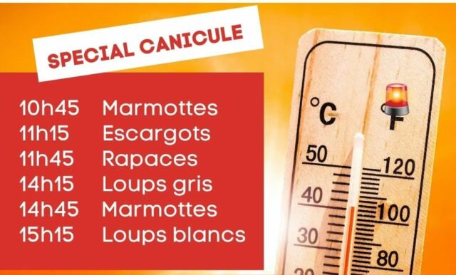 CANICULE - CHANGEMENT HORAIRES
Pour votre confort, celui de nos animaux et de notre équipe, nous adaptons nos horaires de présentations animalières ce lundi 30 juin ainsi que mardi 1 et mercredi 2 juillet. 
Venez passer la matinée sur le parc, il y fait frais en forêt. Nous sommes à 600m d’altitude ce qui rend les températures plus agréable !