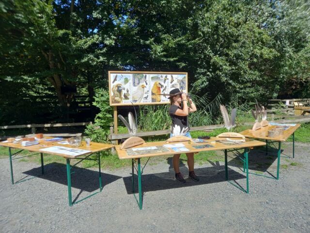 Retour sur la journée des vautours ce 7 𝘴𝘦𝘱𝘵𝘦𝘮𝘣𝘳𝘦 : 

À l’occasion de la Journée Mondiale des Vautours, en collaboration avec Vautours en Baronnies et la LPO France, le parc a mis à l’honneur ces rapaces souvent mal connus mais cruciaux pour l’équilibre de nos campagnes. 

un atelier découverte créé et animé par Laurie, Animaliere au parc, pour mieux connaître les vautours et leur rôle vital dans nos écosystèmes. 

Et grâce à notre engagement solidaire, 1 € sera reversé à Vautours en Baronnies pour chaque visiteur. 
Une belle manière de soutenir la préservation des  vautours. 

@vautoursenbaronnies @lpo_officiel @lpo_aura