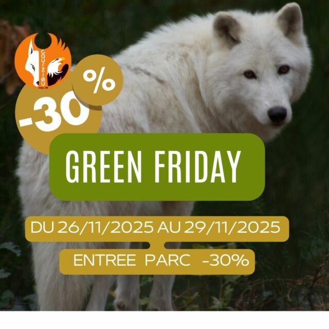 🌿 Green Friday : choisissons la nature plutôt que la surconsommation 🌿

Ce week-end, au lieu de courir après les promotions à tout prix, nous vous proposons une alternative positive :  du temps en nature, du partage, du vivant.

Au Parc de Courzieu, nous ne célébrons pas le Black Friday.
👉 Nous choisissons le Green Friday, avec des offres préférentielles pour permettre à chacun de profiter d’un moment de respiration en famille, au cœur de la forêt des Monts du Lyonnais.

🎁 Offrir une visite au Parc, c’est offrir :
• un temps loin des écrans
• une rencontre authentique avec les loups, les rapaces, les marmottes…
• une pause ressourçante en pleine forêt
• un souvenir partagé qui a plus de valeur que n’importe quel objet

📅 du 25 au 29 novembre seulement : profitez de nos tarifs Green Friday à -30% pour préparer votre visite de la saison prochaine… ou pour glisser un peu de nature sous le sapin.

💚 Moins consommer, mieux s’émerveiller.