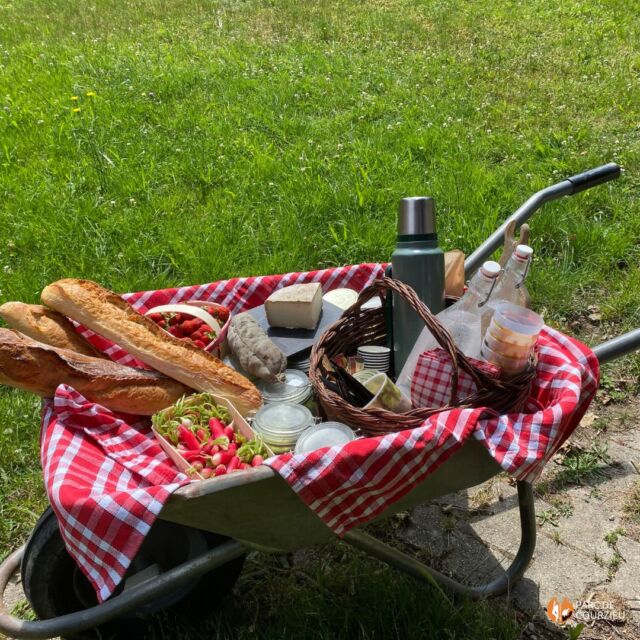 🌿 Cet été, mangez autrement au Parc de Courzieu !

🥖 Cabane privative : un buffet campagnard dans un kota finlandais en bois, ambiance cosy au cœur de la forêt.
🛒 Pique-nique brouette : repas livré… dans une brouette, avec vue sur les loups.

Fraîcheur, nature et gourmandise garanties !

📅 Réservation : https://www.parc-de-courzieu.fr/restauration/

#ParcDeCourzieu #NatureGourmande #VacancesAuVert #RestaurationInsolite