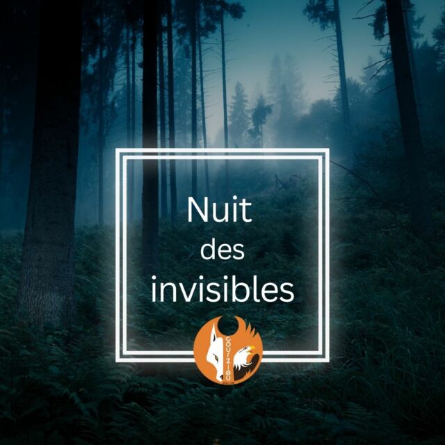 🌙 Le programme de La Nuit des Invisibles 2
29 & 30 août à partir de 18h30 :

🧺 18h30 -  Ouverture du site
🚶 Balade libre dans le parc. Jeux d'antan. forêt aux jeux de bois
🍽️ Terrasse de la Maison du trappeur : ardoise de charcuteries, bière, crêpes, gâteaux, jus de fruits locaux. (Ardoises a réserver)
🎭 20h30 -  Balade théâtralisée : danse, musique, humour, théâtre d'ombre... Théâtre vivant sous les arbres

💬 Une soirée entre contemplation, nature et émotions.

🎟️ Réservez vite : les places sont limitées
👉 https://www.parc-de-courzieu.fr/nuit-des-invisibles-2025/

#NuitDesInvisibles2 #ParcDeCourzieu #SpectacleNocturne #SortieInsolite