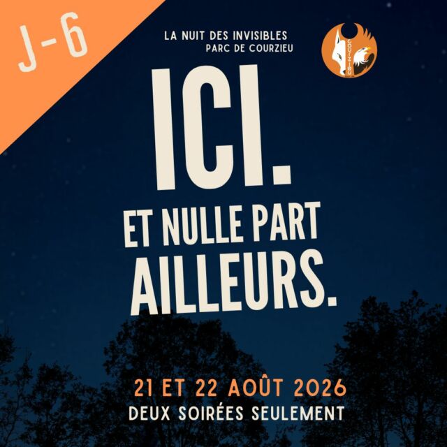 🌙 J-6 | CE SPECTACLE N’EXISTE NULLE PART AILLEURS

Et ce n’est pas une formule !
La Nuit des Invisibles a été imaginée et écrite spécialement pour le Parc de Courzieu.

Nos sentiers, nos clairières, notre forêt, nos animaux… tout ce qui fait Courzieu entre dans l’histoire.

Ce spectacle, vous ne pourrez donc pas le retrouver dans une autre salle ou dans un autre lieu.

Il appartient à Courzieu, il est l'âme de du parc. 

Et vous n’aurez que deux soirées pour le découvrir : les 21 et 22 août.

🌲 Une forêt.
🌙 La nuit.
🎭 Des personnages.
🔎 Une quête.
✨ Et une histoire dont vous êtes un personnage 

Vous venez ?

🎟️ Réservation obligatoire – nombre de places limité.

#NuitDesInvisibles #ParcDeCourzieu #MontsDuLyonnais #SortirALyon #SpectacleVivant

@lecridelafraise Le cri de la fraise