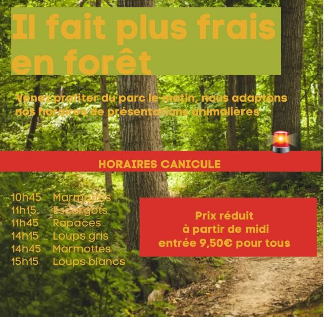 Demain dimanche 22 juin, la journée risque d’être un petit peu chaude. Nous aménageant les horaires de présentation animalieres pour le confort de nos animaux et de visiteurs..