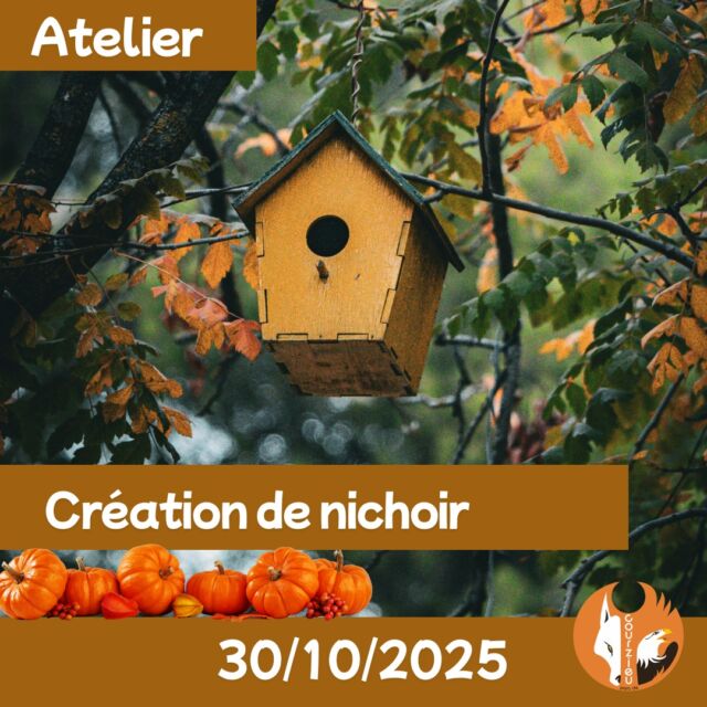 📣 Atelier Créatif au Parc de Courzieu : Fabriquez et Personnalisez votre Nichoir ! 🐦🎨
Pendant les vacances scolaires de février, le Parc de Courzieu vous invite à participer à une animation unique et conviviale pour toute la famille !
📅 Quand ? Jeudi 30 octobre
⏰ À quelle heure ? Plusieurs créneaux tout au long de la journée (renseignements sur place)
📍 Où ? Au cœur du Parc de Courzieu
🔨 Au programme :
Un atelier ludique où petits et grands pourront fabriquer et personnaliser leur propre nichoir pour les oiseaux. Accompagné par notre équipe, vous apprendrez l’importance des nichoirs pour la biodiversité et repartirez avec votre création, prête à accueillir les oiseaux du jardin.
🎟 Tarifs : 5€/Nichoir
Ne manquez pas cette belle opportunité de mêler nature, créativité et pédagogie ! 🌳✨
📲 Pour plus d’informations : https://www.parc-de-courzieu.fr/creation-de-nichoir-30-10-2025-2/
À très bientôt au Parc de Courzieu ! 🐺🦅