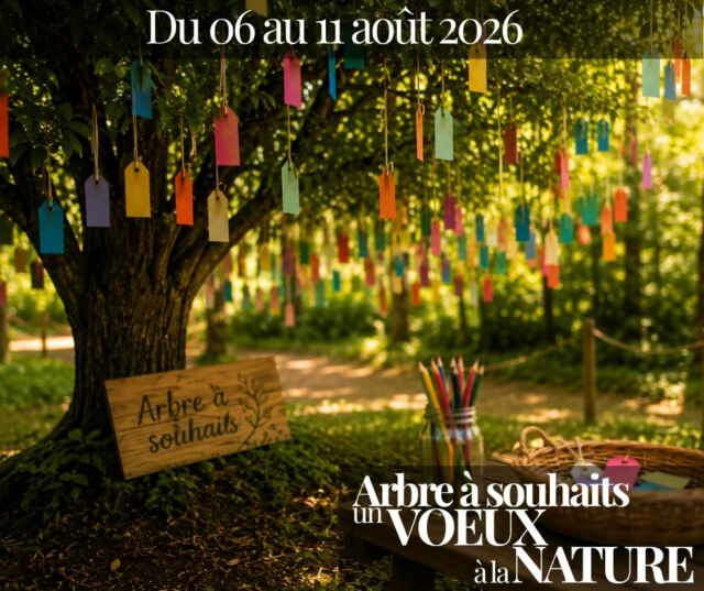 🌸💚 UN ARBRE, DES SOUHAITS ET DES MILLIERS DE BELLES PENSÉES 💚🌸
🌳✨ ET SI VOUS LAISSIEZ UN PEU DE VOUS AU PARC DE COURZIEU ? ✨🌳

Du 6 au 11 août, notre Arbre à Souhaits vous attend à l'entrée du parc.

Avant de repartir, prenez quelques instants pour écrire un vœu, un rêve, un mot d'encouragement ou une pensée positive sur une étiquette colorée, puis venez l'accrocher aux branches de notre magnifique noisetier.

Au fil des jours, les messages s'accumulent, les couleurs se mêlent et le vent fait danser les souhaits de centaines de visiteurs. Ensemble, ils composent une œuvre vivante, remplie d'espoir, de poésie et de belles intentions.

Parce qu'une visite au Parc de Courzieu, c'est aussi prendre le temps de ralentir, de partager et de semer un peu de bonheur autour de soi… 💚

📅 Du 6 au 11 août
💰 Gratuit
👨‍👩‍👧‍👦 Tout public
📍 À l'entrée du Parc de Courzieu

Animation réservée aux visiteurs du parc (hors groupes).

#ParcDeCourzieu #AtelierDécouverte #ArbreÀSouhaits #Nature #PenséesPositives #SortieFamille #MontsDuLyonnais #ÉtéAuParc