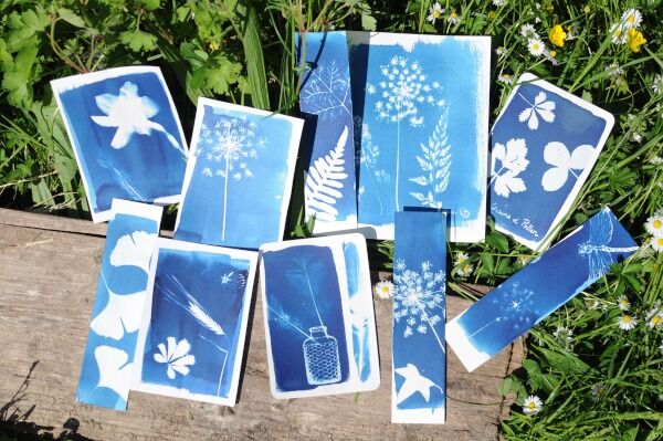 🌿 Atelier Cyanotype – le 18 juillet au Parc de Courzieu 🌿
✨ Une activité artistique et poétique au cœur de la nature

Graines & Pollen vous propose de découvrir le cyanotype, un procédé de photographie végétale ancienne, où feuilles et lumière du soleil se transforment en œuvres uniques 💙

🌞 Ramassez, composez, exposez… et repartez avec votre création végétale personnalisée !

https://www.parc-de-courzieu.fr/creer-un-cyanotype-18-07-2025/