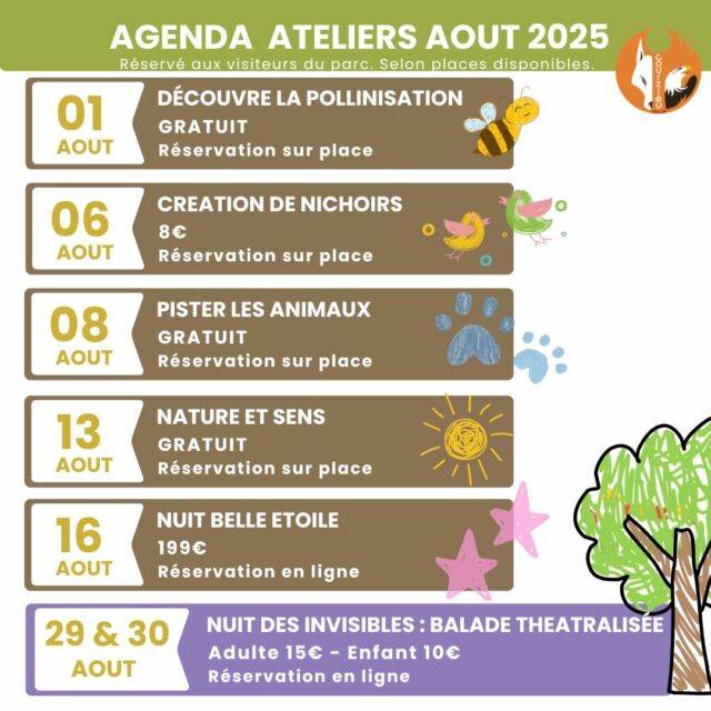 🌻 En août au Parc de Courzieu… cap sur la nature, la créativité et l’émerveillement ! 🌿

Tout le mois, le parc propose une série d’ateliers et de soirées inoubliables, à vivre en famille ou entre amis.
Qu’ils soient ludiques, sensoriels ou nocturnes, ces moments vous plongent au cœur de la nature… autrement 🐾🌸🌌

📅 Au programme :
🐝 01/08 – Découvre la pollinisation (gratuit)
🐦 06/08 – Création de nichoirs (8€)
🦊 08/08 – Pister les animaux (gratuit)
☀️ 13/08 – Nature et sens (gratuit)
🌠 16/08 – Nuit à la belle étoile (199€, réservation en ligne)
🌙 29 & 30/08 – Nuit des Invisibles : balade théâtralisée (15€/adulte, 10€/enfant – réservation en ligne)

🎟️ Les ateliers sont réservés aux visiteurs du parc et à réserver sur place, selon les disponibilités.
🌌 Les nuits spéciales sont à réserver en ligne !

🦉 Cet été, venez explorer, apprendre, fabriquer, ressentir… et rêver sous les étoiles 🌠

#ParcDeCourzieu #AnimationsAoût #AteliersNature #NuitDesInvisibles #Pollinisation #PisterLesAnimaux #CréationDeNichoirs #SortieEnFamille #VacancesNature