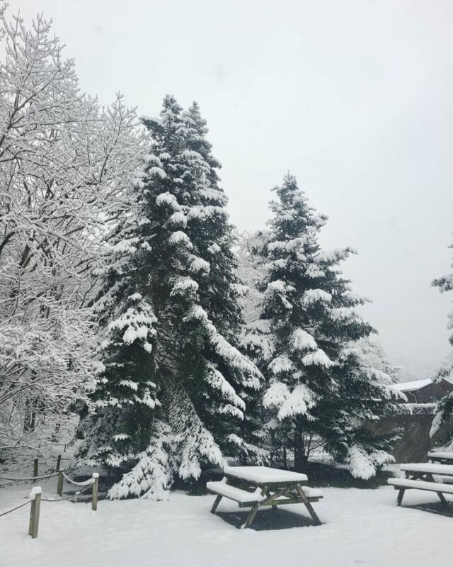 PARC FERME CE SAMEDI 15 MARS EN RAISON DE FORTES CHUTES DE NEIGE
