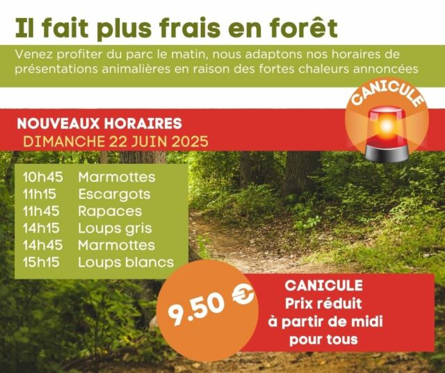 Attention, 
En raison de la canicule, nous aménageons nos horaires pour ce dimanche 22 juin. 

Venez le matin à la fraîche profiter des présentations animalières!

Le parc est en forêt et à 600m d’altitude… l’air est toujours plus agréable au parc 😉

Le parc est ouvert de 10h à 18h. 
Au programme : 
10h45 - Marmottes
11h15 -  Escargots
11h45 - Rapaces 
14h15 - Loups gris
14h45 - Marmottes
15h15 - Loups blancs
Balades à la découverte des animaux à l'ombre de la forêt. Jeux de bois. 
Pique - nique ou déjeuner dans la maison du trappeur.