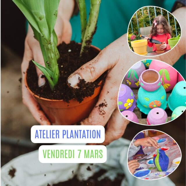 ⚠ Notre atelier plantation approche ⚠
Aujourd'hui, Vendredi 7 mars, le Parc de Courzieu vous propose une nouvelle activité créative et pédagogique pour toute la famille !
⏰ À quelle heure ? Plusieurs créneaux tout au long de la journée (renseignements sur place)
📍 Où ? Dans un espace chaleureux au sein du Parc de Courzieu

🎨 Au programme :
Un atelier ludique où petits et grands pourront décorer et personnaliser leur propre pot avant d’y planter des graines. Apprenez les bases du jardinage en intérieur tout en laissant parler votre créativité. Repartez avec votre pot unique et des connaissance pour s’occuper de votre nouvelle plante !

💡 Pourquoi participer ?
• Une activité créative et éducative
• Un moment de détente en famille ou entre amis
• Un pas vers une maison plus verte et accueillante

🎟 Tarifs : 5€/Plantation

📲 Pour plus d’informations : https://www.parc-de-courzieu.fr/decoration-et-plantation.../

Ne manquez pas cette belle occasion de plonger les mains dans la terre et de semer un peu de nature dans votre quotidien.

À très vite au Parc de Courzieu pour un moment unique, entre nature et créativité ! 🐺🦅