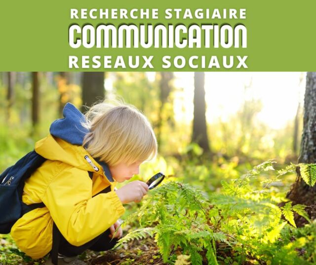 🌿 Le Parc de Courzieu recrute son/sa stagiaire en communication ! 🐺🦅

Envie de travailler au cœur de la nature, entouré de loups et de rapaces ?
Rejoins une équipe passionnée pour faire vivre nos réseaux sociaux et partager la magie du parc ✨

🎯 Tes missions :
– Création de contenus (photos, vidéos, stories, reels)
– Animation de nos réseaux sociaux (Instagram, Facebook…)
– Participation aux campagnes de communication (événements, saisons, offres…)
– Mise en valeur de la vie du parc, des animaux et des expériences visiteurs
– Veille et propositions d’idées créatives

🌱 Ton profil :
– En cours de formation en communication / marketing digital
– Créatif(ve), curieux(se) et force de proposition
– À l’aise avec les réseaux sociaux et les codes du digital
– Sensibilité pour la nature, les animaux et les projets authentiques
– Maîtrise de Canva ou outils de montage vidéo

📍 Lieu : Parc de Courzieu (à deux pas de Lyon, en pleine nature) et télétravail.
📅 Durée : Moins de 2 mois
🚀 Début : dès que possible

📩 Envoie-nous ton CV + quelques lignes de motivation (ou un portfolio si tu en as un) en message privé ou à :  events@parcdecourzieu.fr