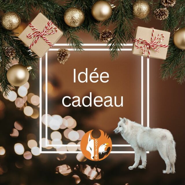 Offrez une journée au parc ! 
Offrez un cadeau qui crée de vrais souvenirs.
Une journée au Parc de Courzieu, c’est de la nature, des rencontres animales et des moments précieux à partager.

🎁 Des entrées à glisser sous le sapin, simples à offrir… inoubliables à vivre.

➡️ Billets disponibles en ligne : https://www.parc-de-courzieu.fr/
➡️ Billets saison 2026  sans date : Adulte 18€ - Enfant 3/12 ans 14€ -  Famille 59€
➡️ Billets hiver : 9.50€

Offrir la nature, c’est offrir l’essentiel. 🌲💚