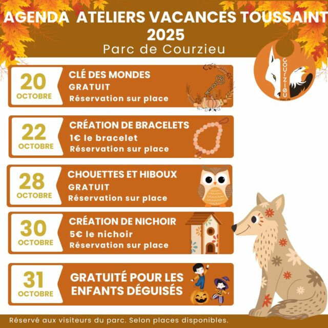 Les vacances de la Toussaint approchent, et la forêt du Parc de Courzieu s’apprête à vivre l’une de ses plus belles saison : l'automne !
Au parc, Halloween ne fait pas peur 👻 : il émerveille, il intrigue, il raconte. Venez vivre une immersion au cœur de la nature, entre feuilles dorées, cris de loups et vols majestueux de rapaces.
Au programme : balades dans la forêt aux couleurs flamboyantes, contes mystérieux sur les origines d’Halloween, ateliers créatifs inspirés des traditions celtiques 🍀, rencontres insolites avec nos chouettes et animations pour toute la famille.
Les vacances commencent samedi… youpiiiiiii
Voici le programme