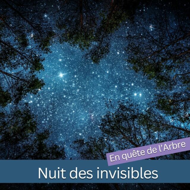 ✨ Devenez acteur de la magie au parc la nuit...

C’est vous qui donnerez vie à la forêt ! 
La Nuit des Invisibles, c’est une balade théâtralisée où vous résolvez les énigmes, guidez la narration et redonnez vie à l’Arbre endormi.

Un spectacle vivant, insolite et interactif au cœur de l’obscurité.
Réservez vite vos places : https://www.parc-de-courzieu.fr/nuit-des-invisibles-2025/

#ThéâtreInteractif #NatureEtMystère #NuitDesInvisibles