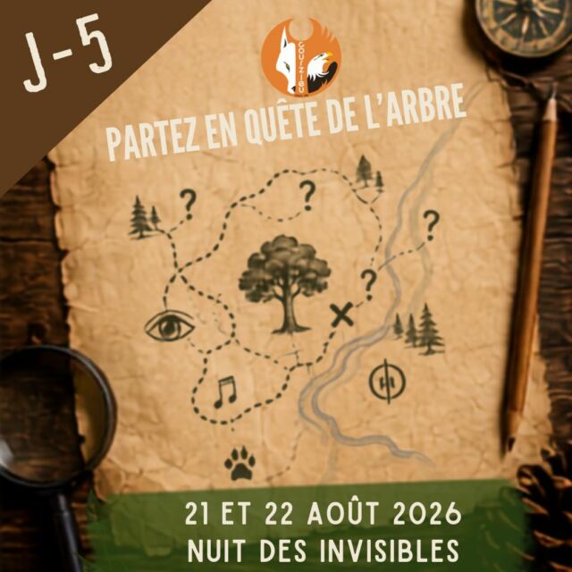 J-5 | CETTE FOIS, VOUS ÊTES DANS L’HISTOIRE...
Oubliez la scène.
Oubliez les fauteuils.

Pour La Nuit des Invisibles, c’est vous qui allez avancer dans le décor.

De scène en scène, à travers la forêt, vous devrez écouter, observer, réfléchir, chercher les indices et vous laisser surprendre par ceux que vous rencontrerez…

Votre mission ?

🌳 Partir en quête de l’Arbre.

Un jeu d’énigmes théâtralisé grandeur nature dans lequel l’histoire se dévoile progressivement autour de vous.

Alors, une question demeure…

Saurez-vous trouver l’Arbre ?

🌙 21 & 22 août 2026
🎟️ Plus que 5 jours : pensez à réserver !

#NuitDesInvisibles #ParcDeCourzieu #EnQueteDeLArbre #Aventure #SortieEnFamille

@lecridelafraise  Le cri de la fraise
