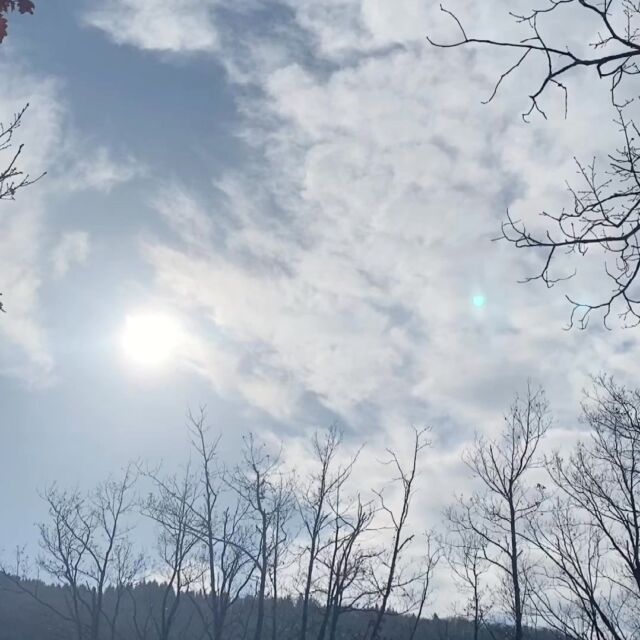 Les vacances  touchent à leur fin... une belle idée de balade en famille au coeur de la nature hivernale à la découverte des loups.