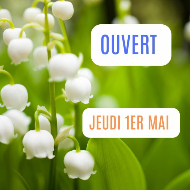 Notre parc sera ouvert de jeudi 1er mai. Venez profiter du beau temps !
Au programme : 

🔸 10h45 – Nourrissage des marmottes
🔸 11h15 – Animation autour des escargots
🔸 11h30 – Rencontre avec les loups gris
🔸 14h00 – Vol des rapaces
🔸 14h45 – Nourrissage des marmottes
🔸 15h15 – Rencontre avec les loups blancs
🔸 16h00 – Vol de rapaces

🌼 Une journée rythmée par la nature en ce jeudi 1er mai.