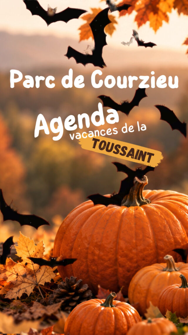 Programme de la deuxième semaine des vacances de la Toussaint.