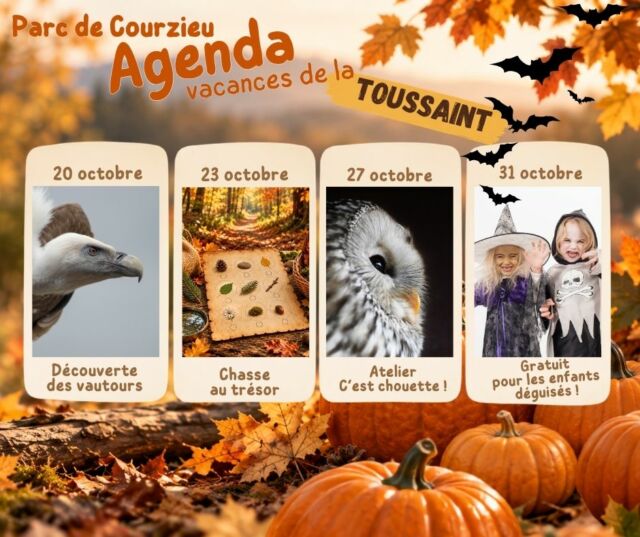 🎃👻 À Courzieu, même les fantômes sont gentils !

Pour les vacances de la Toussaint, nous avons choisi de célébrer l'automne avec de belles citrouilles, des fantômes souriants et surtout… la nature !

Pas besoin de faire peur pour vivre de belles aventures.

🍂 Au programme : rencontres animalières, découvertes étonnantes, ateliers et balades dans une forêt aux couleurs de saison.

Et si cette année, Halloween devenait l'occasion de mieux connaître ces animaux qui nous impressionnent parfois sans qu'on sache vraiment pourquoi ?

❤️ Rendez-vous pendant les vacances de la Toussaint au Parc de Courzieu !

#Toussaint #HalloweenEnFamille #ParcDeCourzieu #Nature