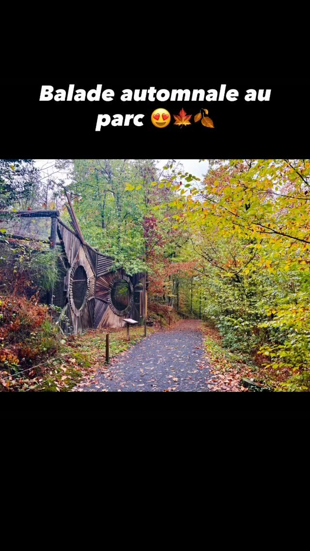 Balade automnale au parc 😍🍁🍂