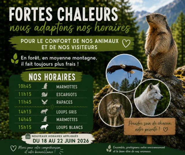 🌳☀️ Vous avez chaud ?

Il fait toujours plus frais au Parc de Couzieu grâce à notre forêt protectrice et nos 550m d'altitude!

En plus nous adaptons notre programme pour que vous puissiez au mieux profiter des animations le matin. 

Du 18 au 22 juin nouveaux horaires : 
🦫 10h45 • Marmottes
🐌 11h15 • Escargots
🦅 11h45 • Rapaces
🐺 14h15 • Loups gris
🦫 14h45 • Marmottes
🤍🐺 15h15 • Loups blancs

Bonne nouvelle : à partir de 12h00, l'entrée est proposée à tarif réduit !

🎟️ Adulte : 14 €
🎟️ Enfant : 10 €

Alors, prêt à perdre quelques degrés?